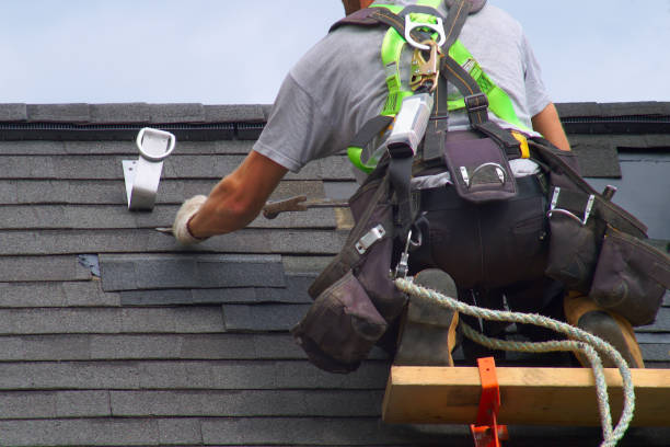 Best Roof Repair Services  in Durand, MI