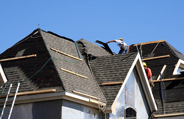 Best Roof Leak Repair  in Durand, MI